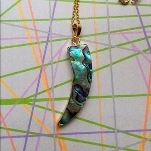 Abalone Necklace